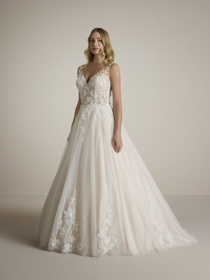 Asperation        -    Luxury Collection
